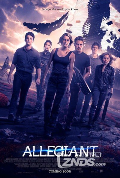 巷弄深處的影視寶藏，電影搶先版探秘