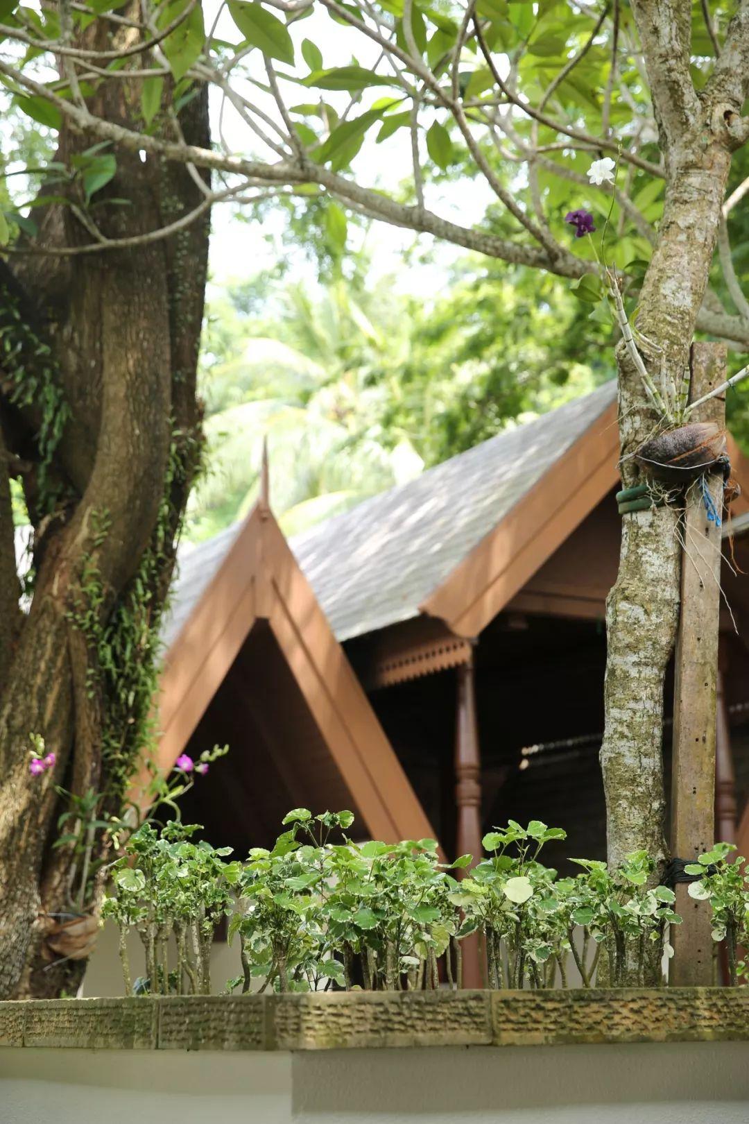 明星sl的溫馨日常，愛與陪伴的力量