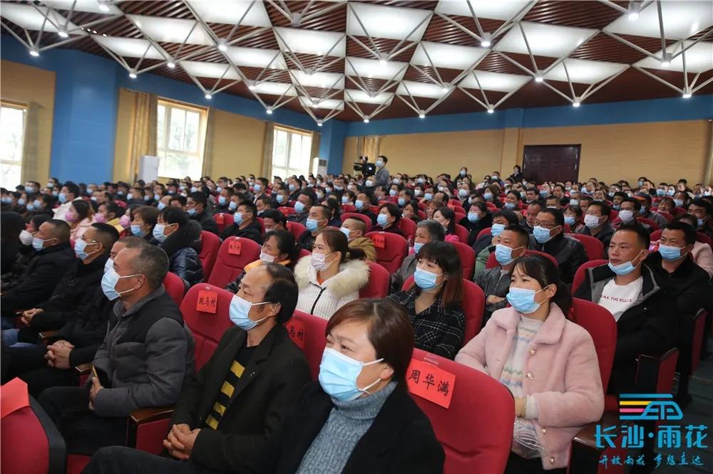 雨花區(qū)跳馬最新資訊，小巷深處的獨(dú)特風(fēng)味探索