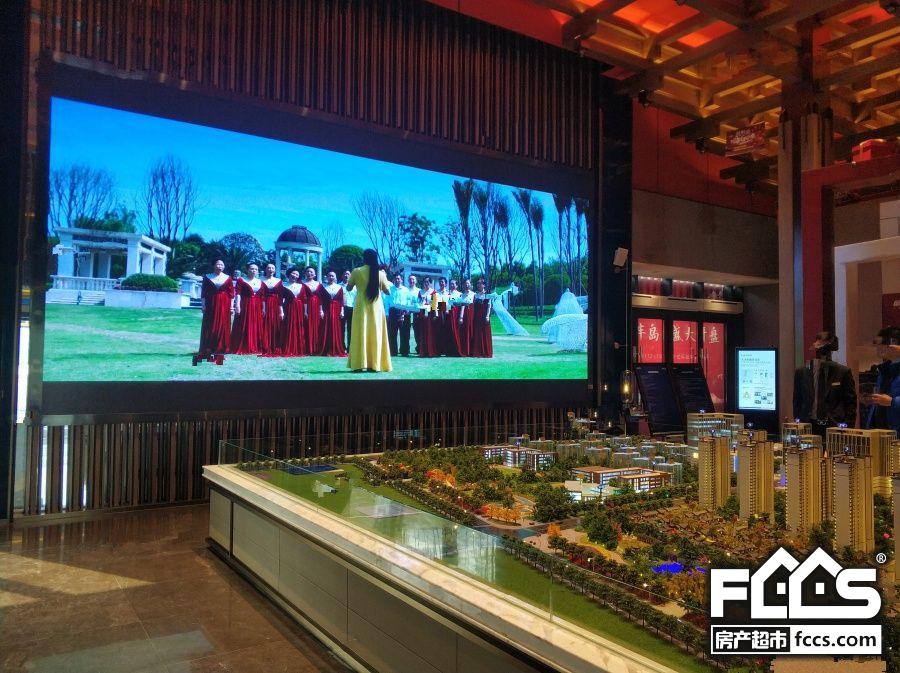 合肥雍錦半島最新動(dòng)態(tài)資訊，溫馨日常的探秘