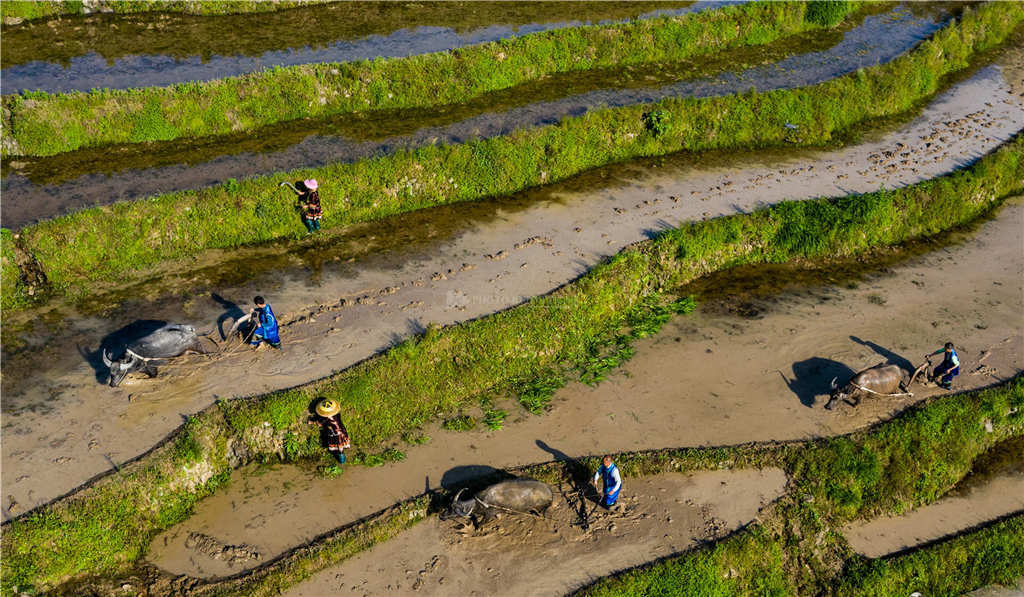 女人的地男人犁最新章節(jié),女人的地男人犁最新章節(jié)，探索現(xiàn)代兩性關(guān)系的深度發(fā)展