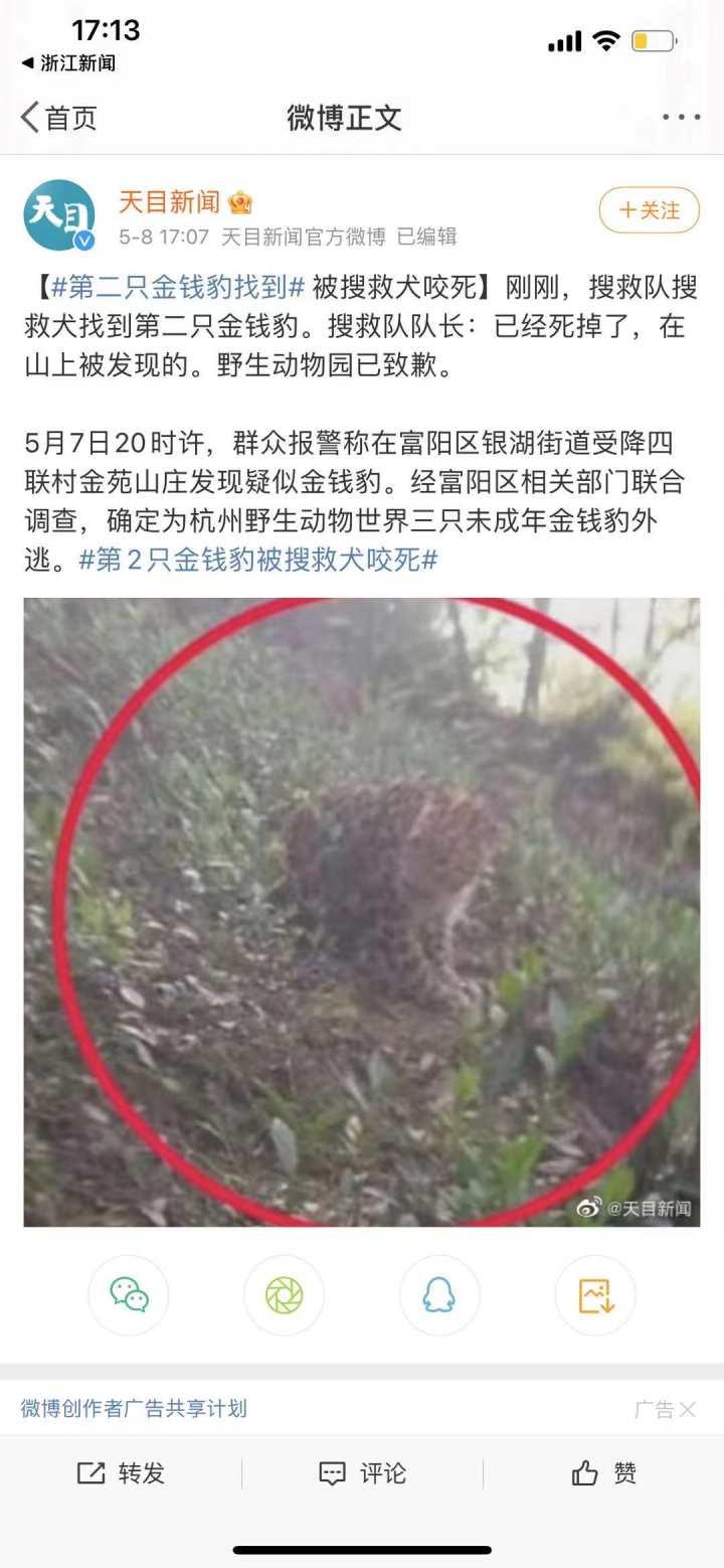 承德新聞快訊，多元視角下的觀察與解讀今日更新