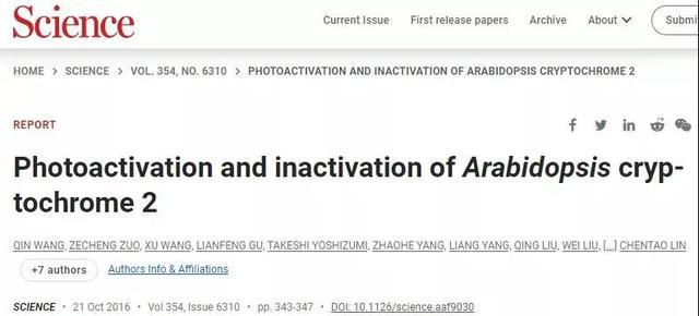 漁具配件 第194頁