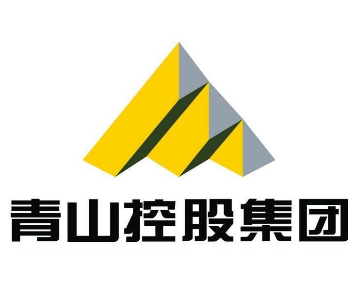 青山控股是否上市？解析其上市計(jì)劃與現(xiàn)狀