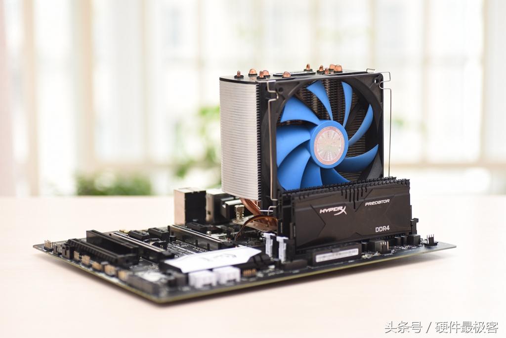 銀環(huán)蛇的價格，蛻變之路的自信與成就感展現(xiàn)