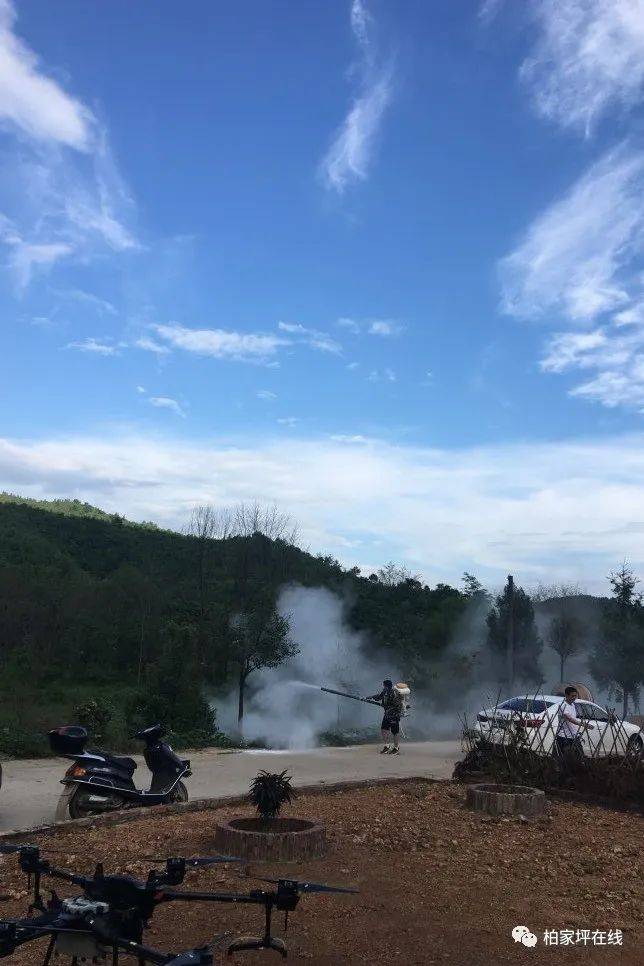 最新蝗蟲災(zāi)害動(dòng)態(tài),最新蝗蟲災(zāi)害動(dòng)態(tài)，應(yīng)對與防治的詳細(xì)步驟指南