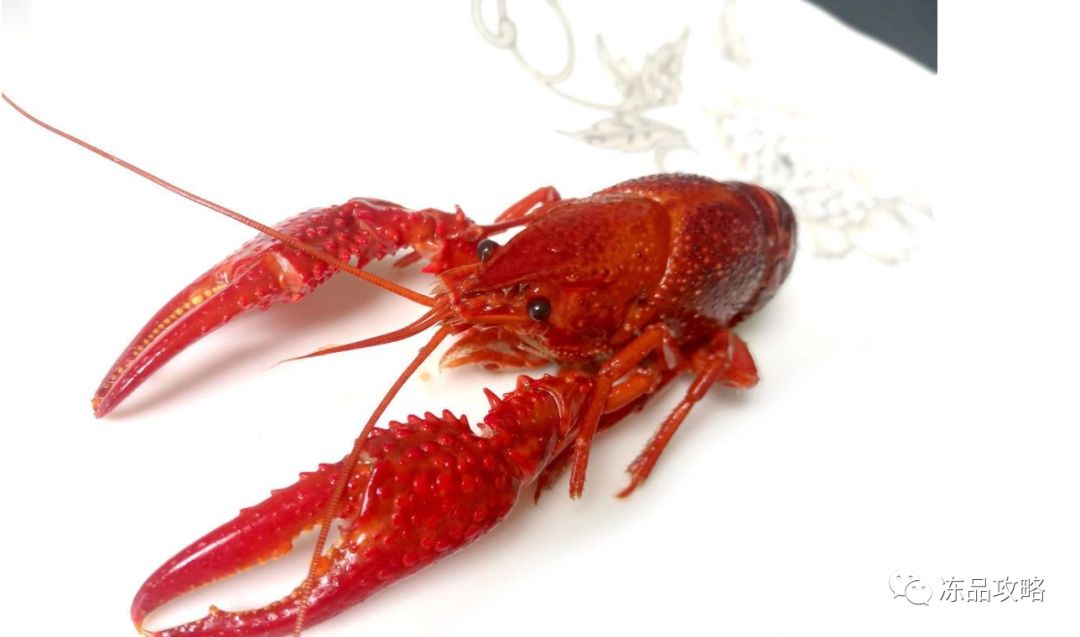 龍蝦價格變遷，時代印記與特定影響因素的探究