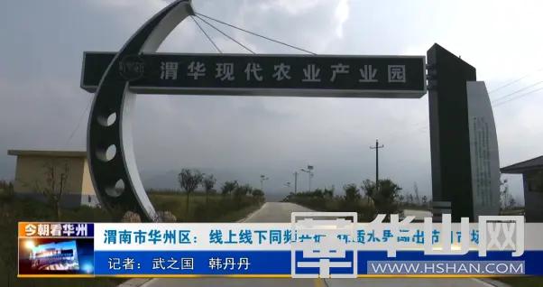 渭南市華州區(qū)最新資訊概覽