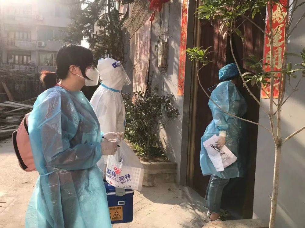 福鼎最新疫情動(dòng)態(tài),福鼎最新疫情動(dòng)態(tài)，觀(guān)點(diǎn)闡述與分析