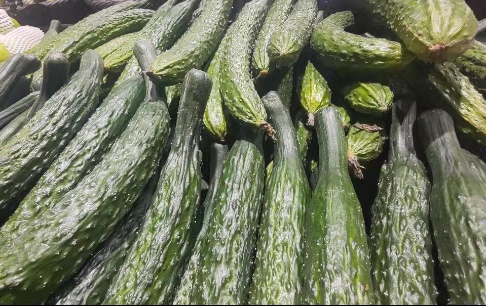 今日黃瓜價(jià)格行情走勢分析