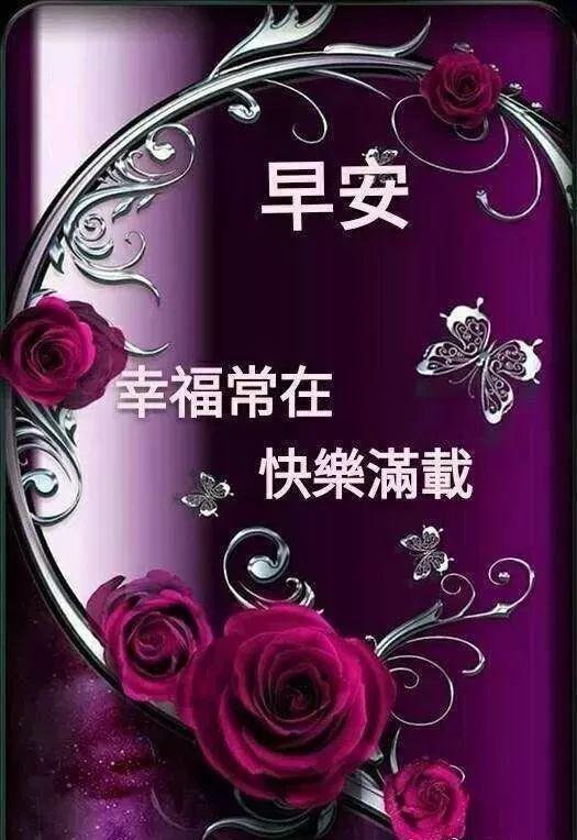 微信電腦版更新指南，詳細步驟教程