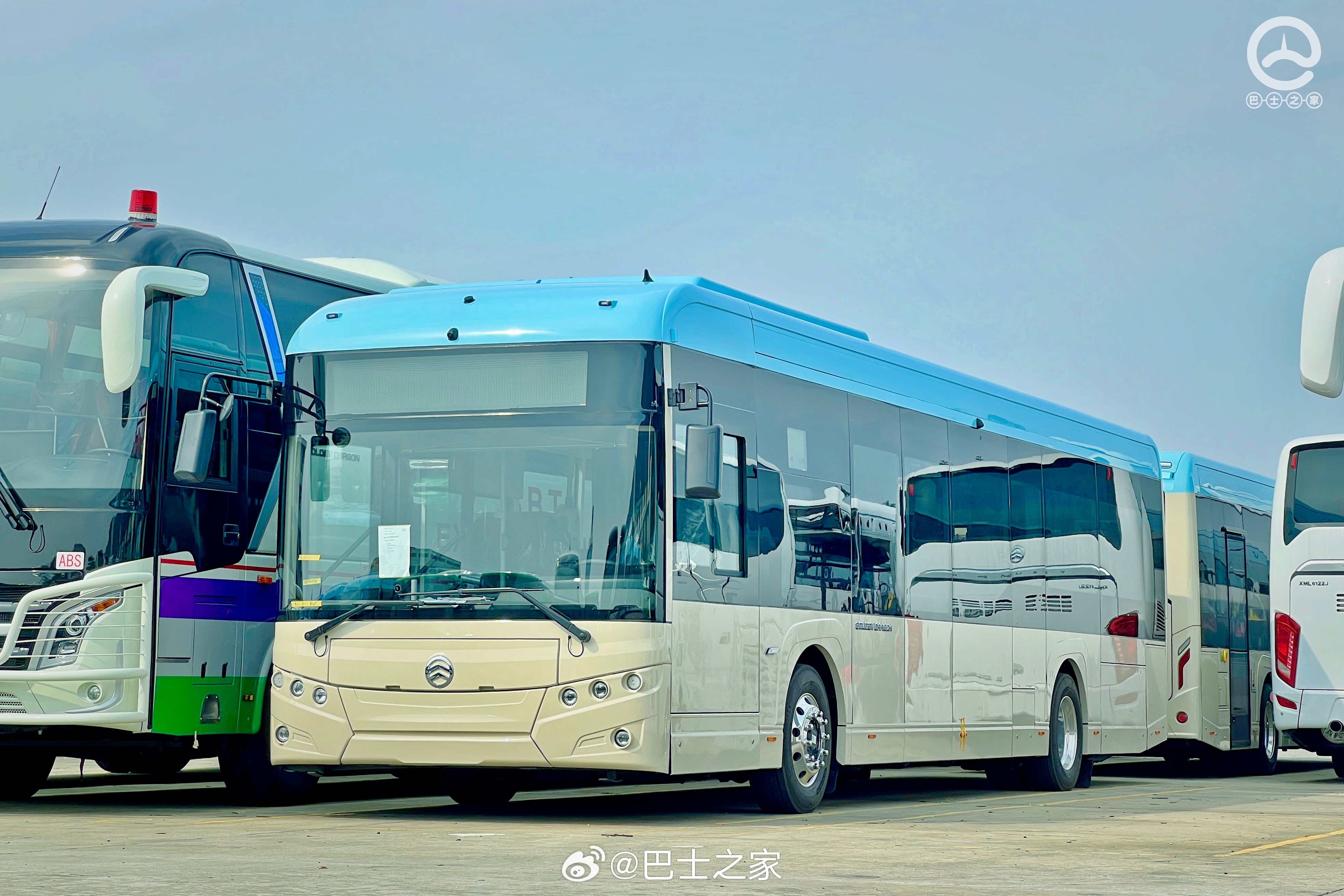 最新海豐車型推薦，精選多款熱門車型任你選！