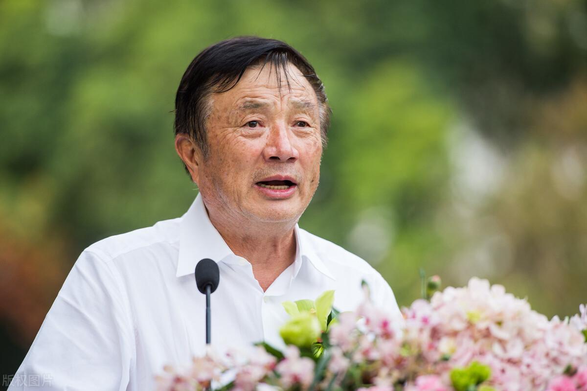 芯片的奇妙股市之旅，探索芯片之家的股票版圖