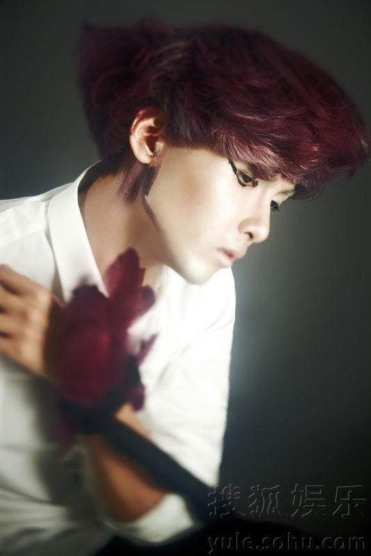 SJ明星揭秘，探索自然美景之旅，尋找內(nèi)心的平靜與喜悅之旅