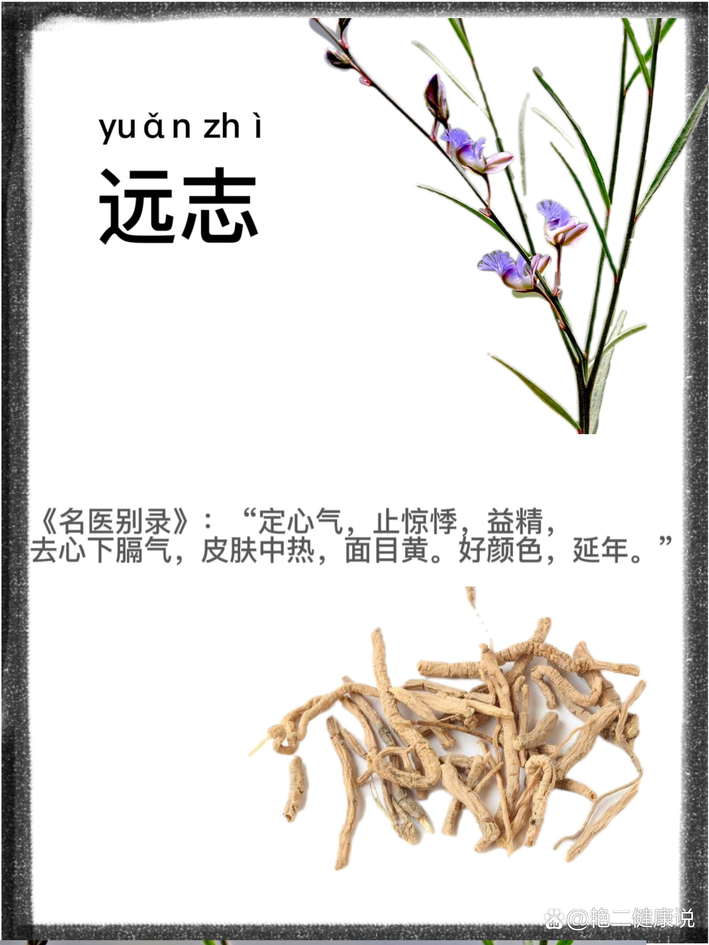 遠(yuǎn)志名最新講道視頻,遠(yuǎn)志名最新講道視頻，探索信仰的深邃世界