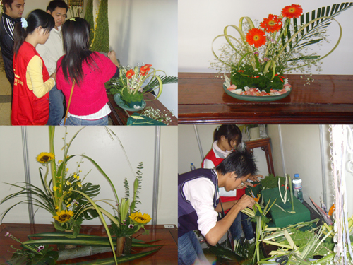 最新花藝風(fēng)采，展現(xiàn)創(chuàng)造力與自信的絕美藝術(shù)