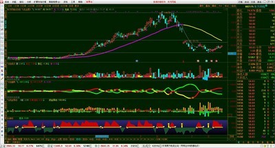 探索投資樂(lè)園，股票證券軟件的小巷秘密寶藏揭秘