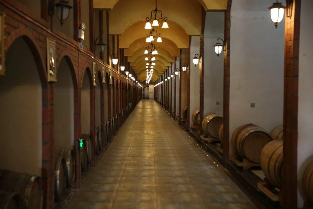 蘇州信匯達最新動態(tài)，友情的紐帶與溫馨的陪伴