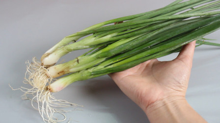 隆化新鮮資訊,隆化新鮮資訊，高科技產(chǎn)品引領(lǐng)未來，體驗(yàn)前所未有的智能生活