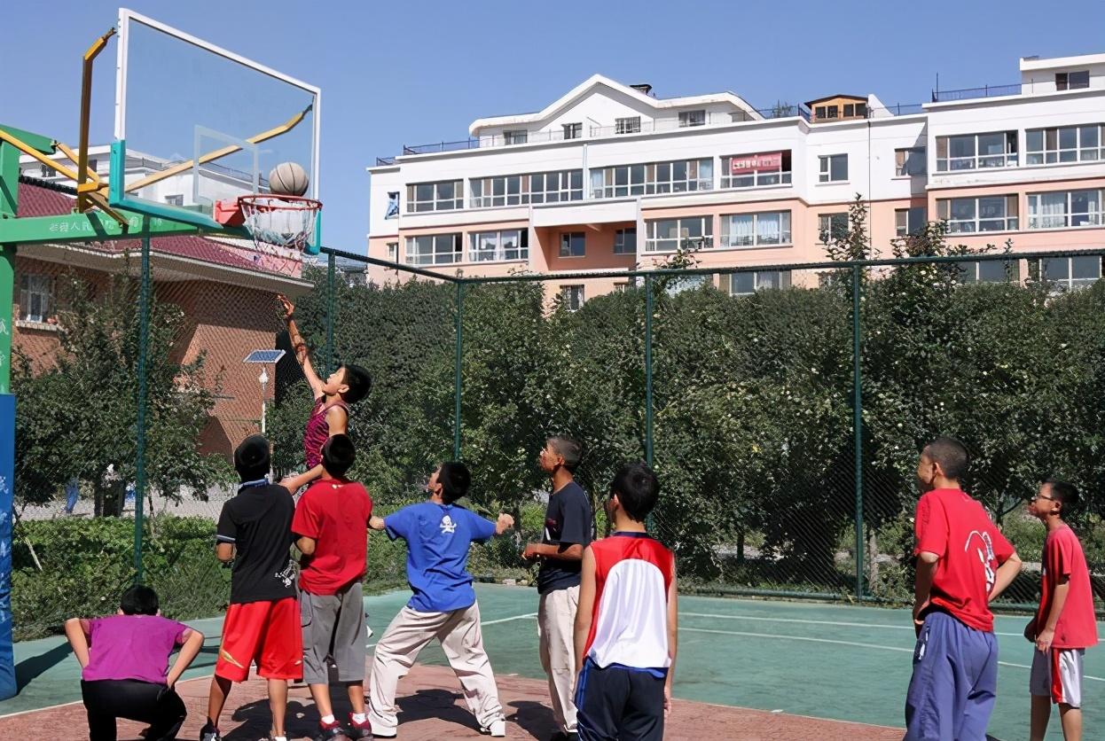 高考最新動態(tài),高考最新動態(tài)，一場心靈與自然的奇妙旅行