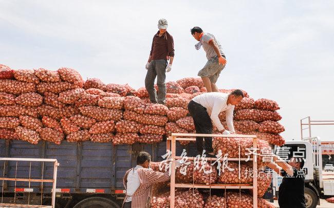 金鄉(xiāng)大蒜今日最新價格及市場走勢與產(chǎn)業(yè)洞察分析