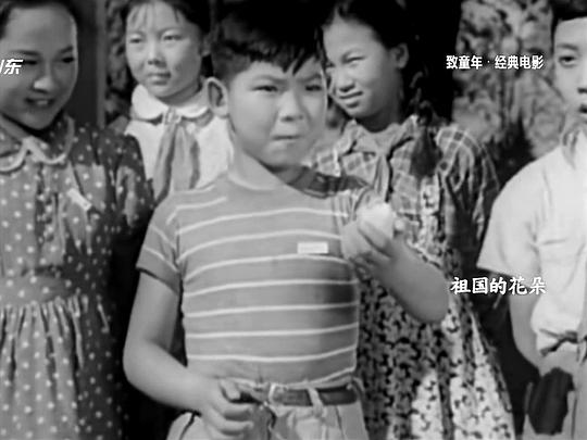 祖國的花朵電影，深度探討影響與啟示