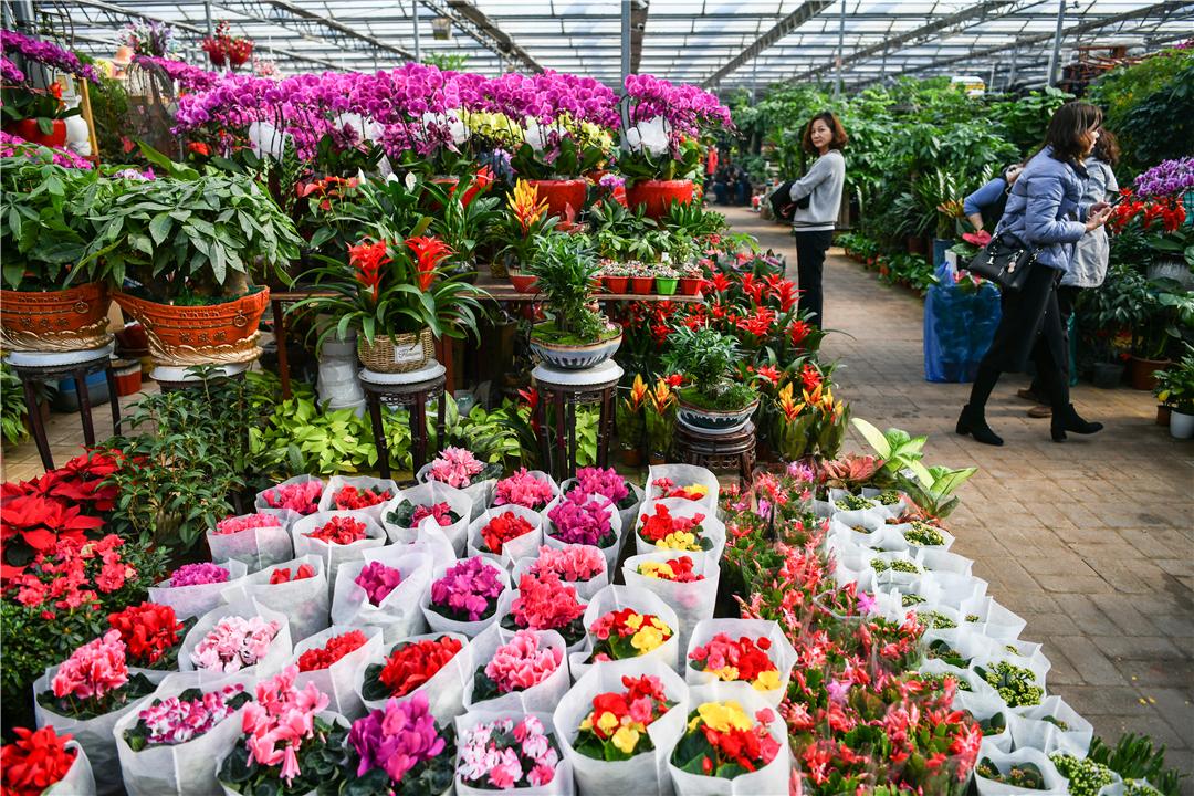 科技引領(lǐng)下的花卉市場新紀(jì)元，各種鮮花批發(fā)價(jià)格解析