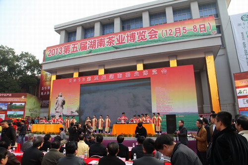 陳社強最新動態(tài)揭秘，最新進展與活動報道??