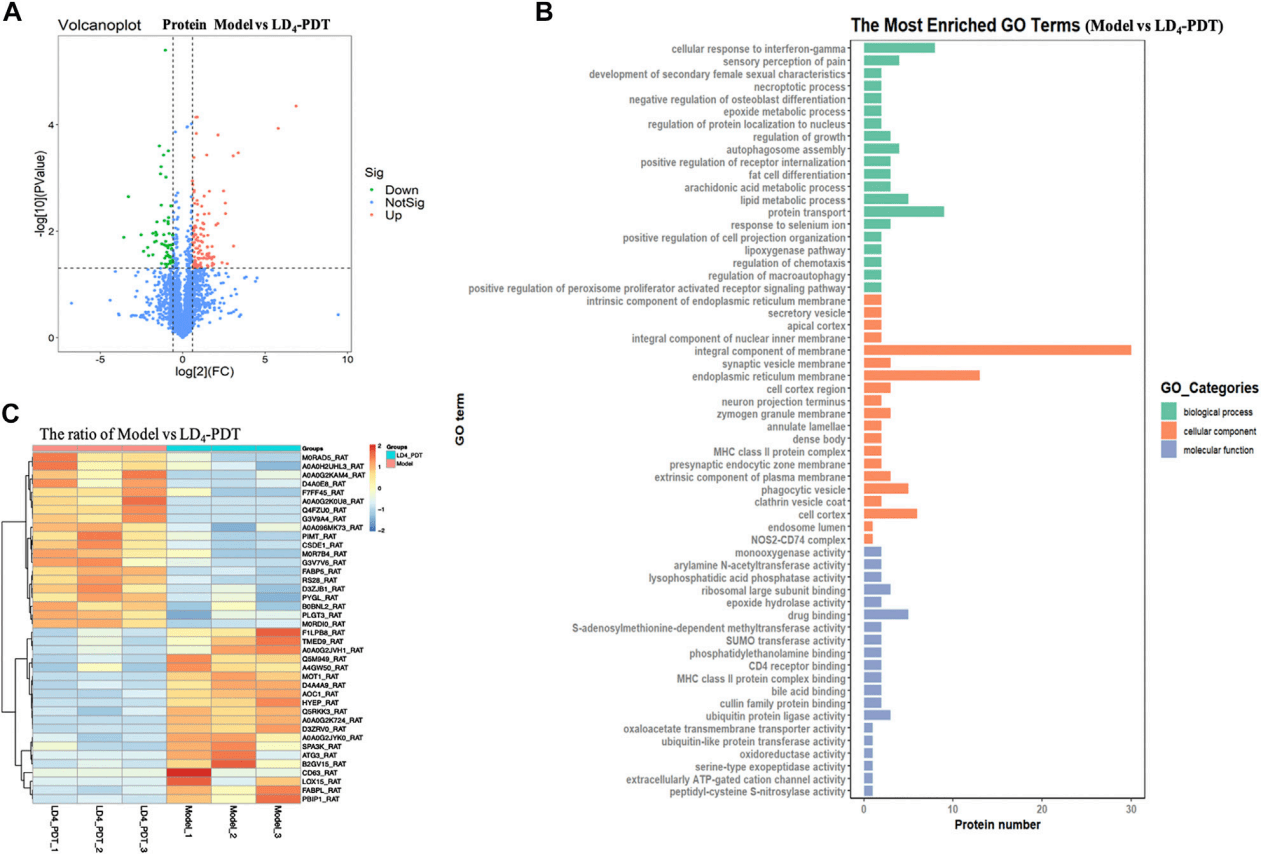 新澳2024年正版資料,數(shù)據(jù)驅動方案_裝飾版74.876