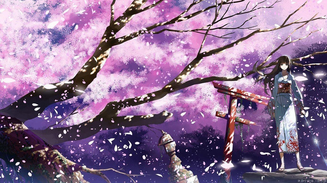 櫻花動漫電腦，值得關(guān)注還是過客？品牌深度解析