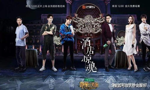 明星大偵探第八季免費(fèi)觀看，心靈與自然的奇妙探險(xiǎn)之旅