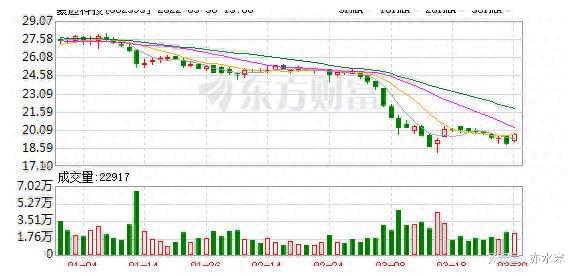豪邁科技股票，一文解讀未來潛力與價值展望