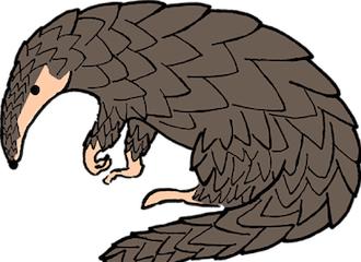 揭秘最新病毒資訊，你必須了解的事！