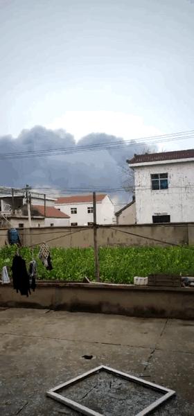 灌南最新動態(tài)，自然美景探索之旅的治愈力量