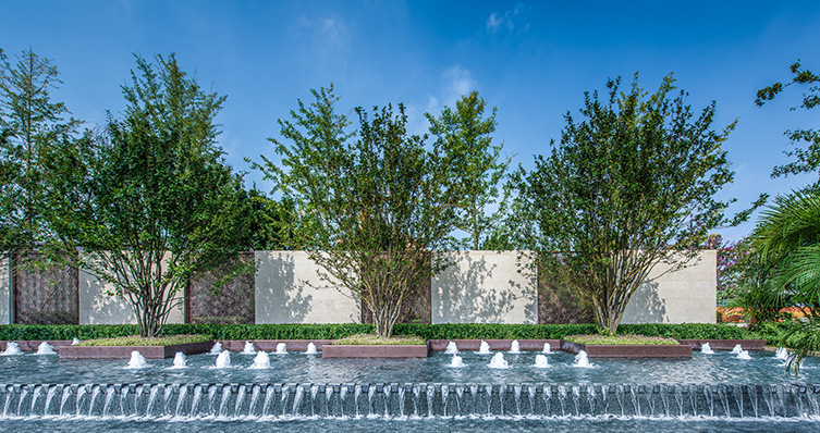 旭輝七號(hào)院最新動(dòng)態(tài)，鄰里溫情日常揭秘