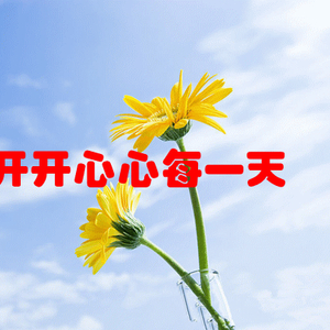 “最新貓咪動態(tài)”,最新貓咪動態(tài)，小巷深處的貓步輕揚(yáng)特色小店