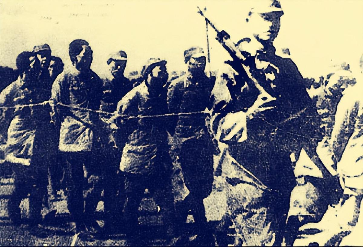 最新抗戰(zhàn)電視劇，小巷深處的戰(zhàn)爭故事與特色小店揭秘