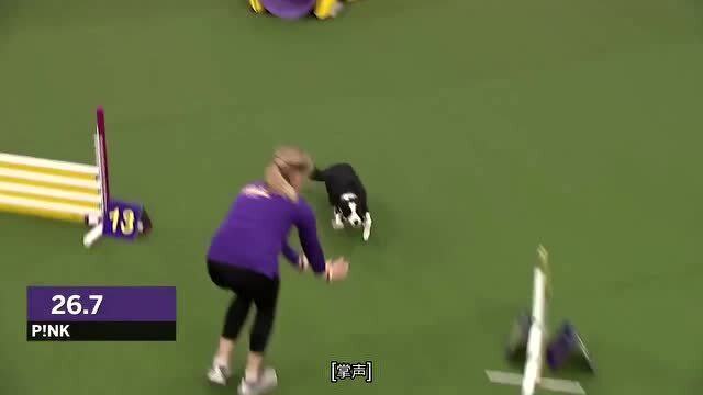 敏捷比賽全攻略，從入門到精通的競賽指南