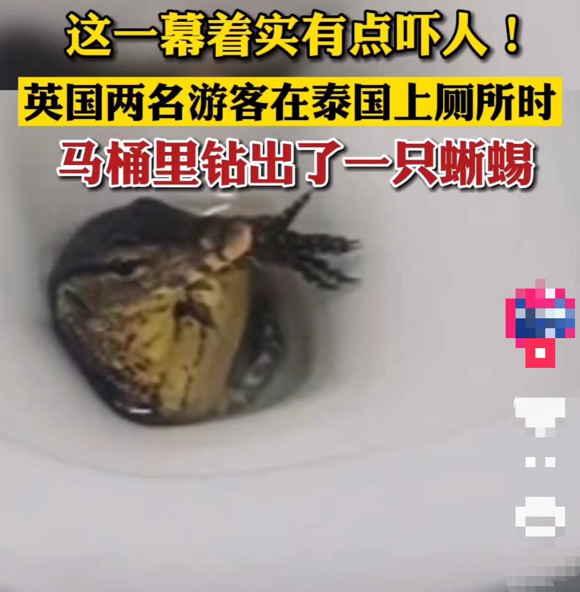 最新蛇咬事件，自然探險(xiǎn)之旅遭遇意外危機(jī)