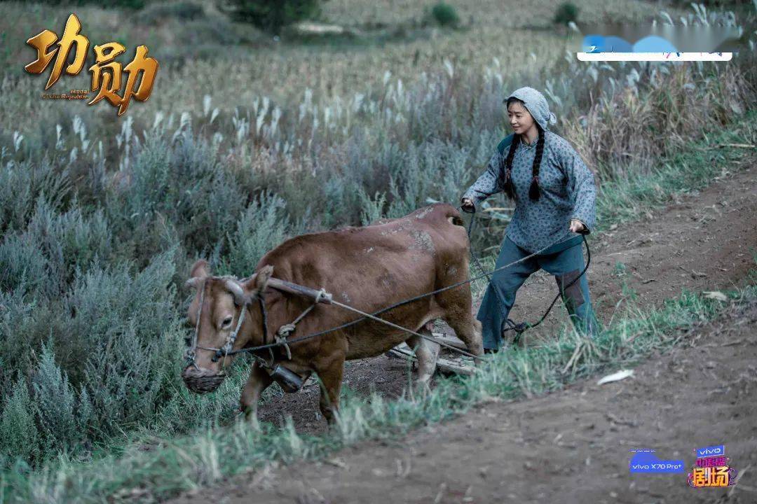 申紀(jì)蘭演員表制作指南，從初學(xué)者到進(jìn)階用戶的步驟參考