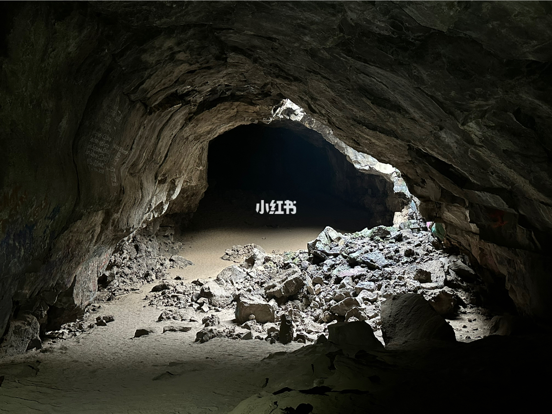 洞明星，光環(huán)下的反思與深度洞察