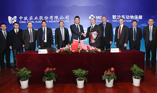 中牧股份最新動(dòng)態(tài)，行業(yè)巨頭引領(lǐng)畜牧業(yè)發(fā)展