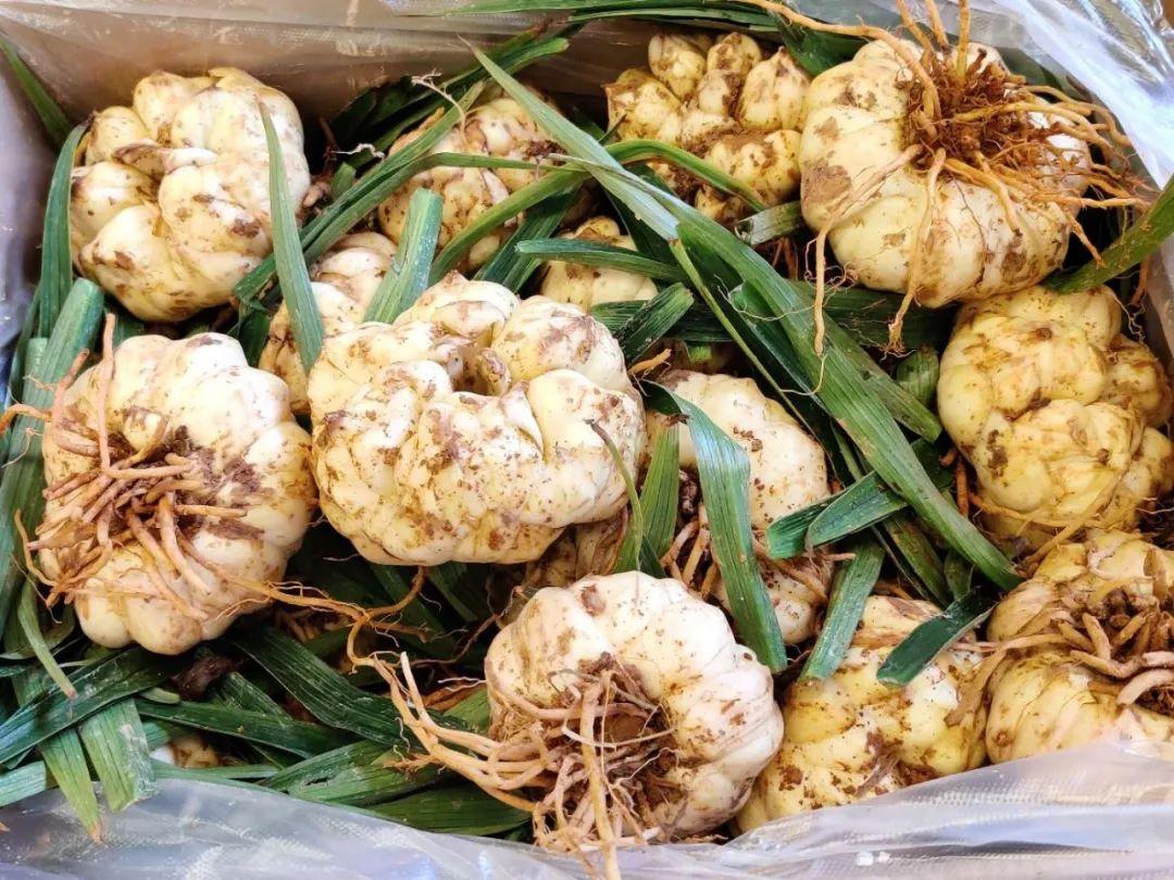 豇豆價格最新行情，科技智能引領生活，應用升級再掀波瀾