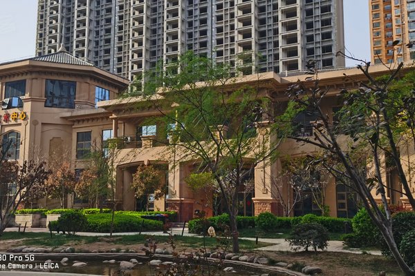 安陽帕提歐，巷深美食秘境，最新資訊盡在其中！