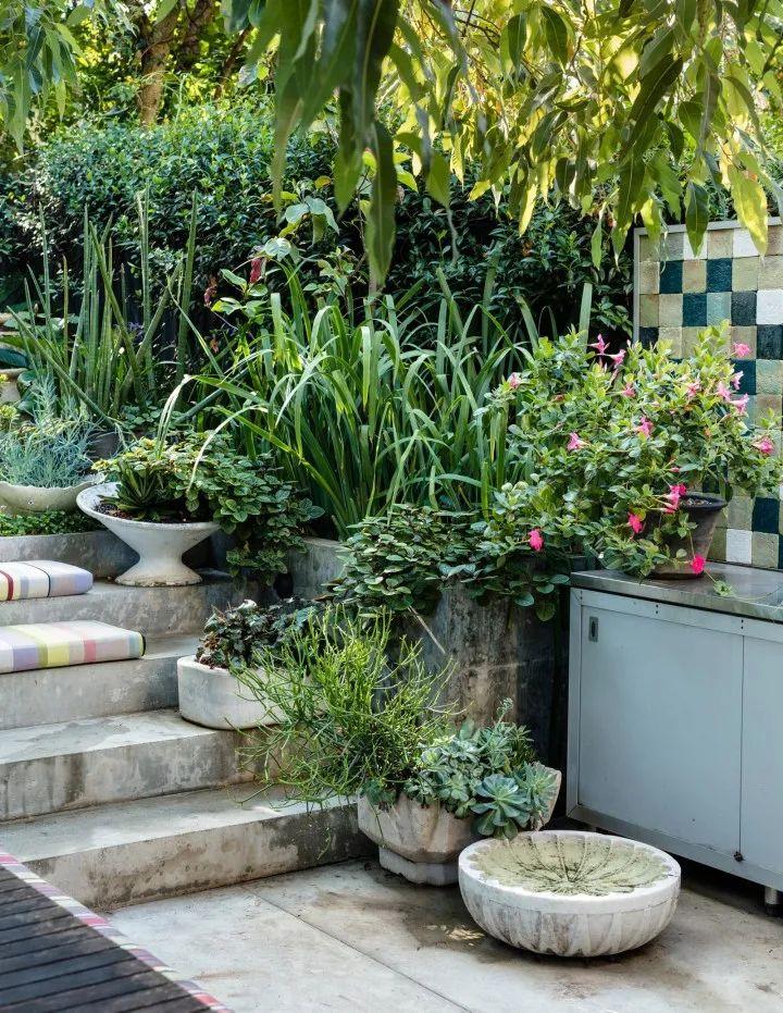 妙手回春再現(xiàn)輝煌，傳統(tǒng)醫(yī)術(shù)的再生與最新進(jìn)展