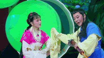 名家動(dòng)態(tài)速遞,名家動(dòng)態(tài)速遞，背景、重要事件與影響