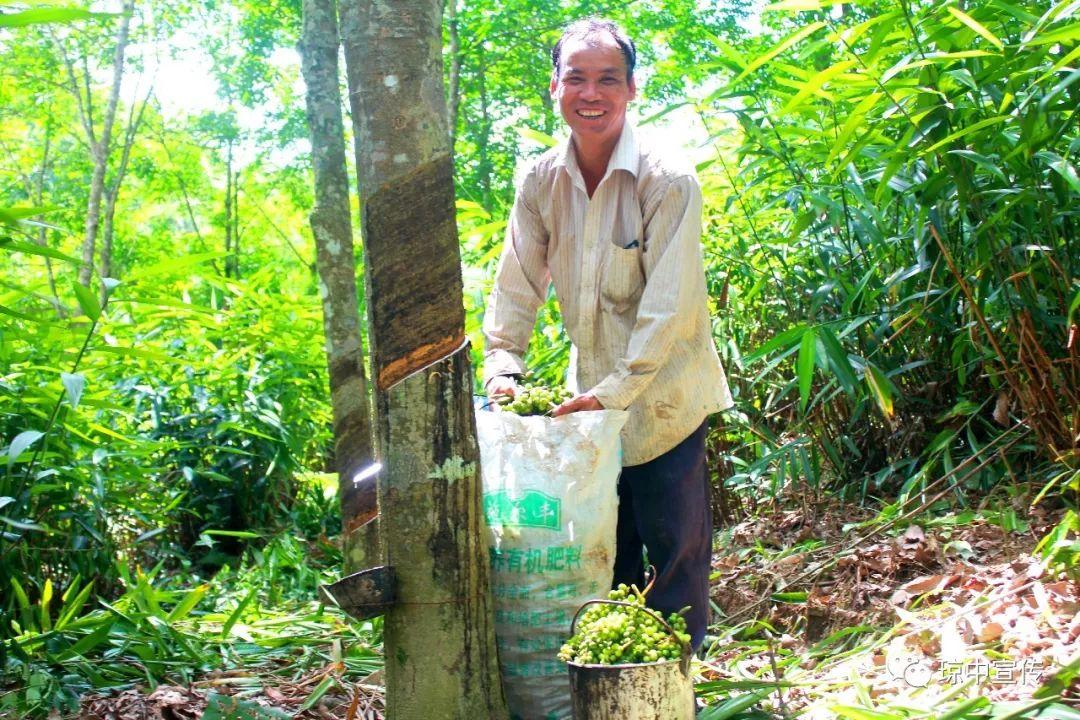 今日橡膠期貨行情深度解析與觀點分享