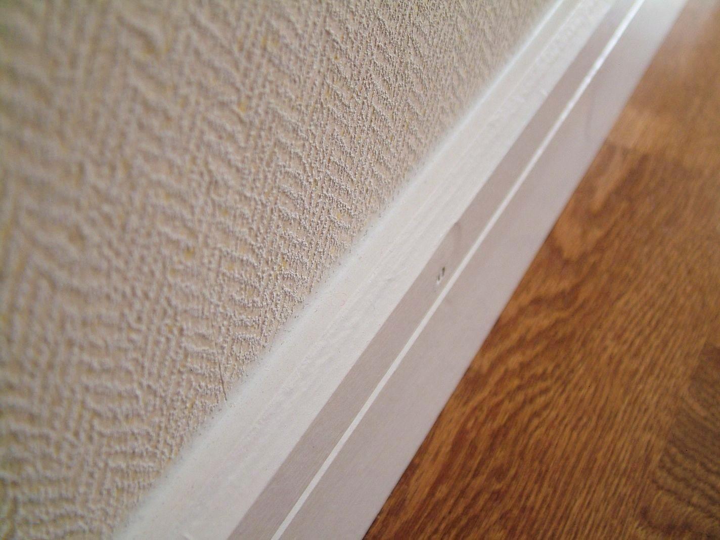 溫馨日常與友情紐帶，愛與陪伴的溫馨故事