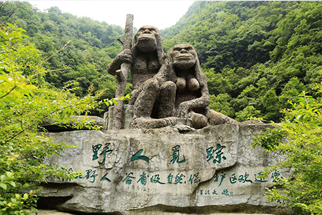 神農(nóng)架景區(qū)門票價格詳解，全方位了解門票費用