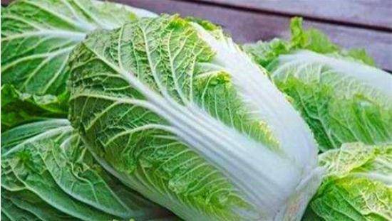 優(yōu)質(zhì)大白菜購買指南，價(jià)格查詢與選購要點(diǎn)詳解